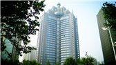 洛陽開元礦業集團有限公司，始成立于2006年，主營業務涵蓋礦產品貿易、礦山開發、酒店服務、房地產開發和金融投資等，集團位于洛陽市開元大道世貿中心；中國民主建國會會員、青年企業家許明月先生是公司創始人和實際控制人，目前任洛陽開元礦業集團有限公司董事長兼總經理。
